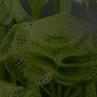 Anycubic Photon P1 altura de capa