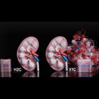 Reducción de purga Bambu Lab H2C