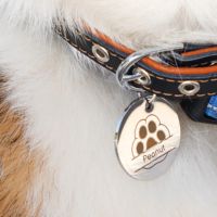 Grabado y corte de alta resolución en H2C Combo